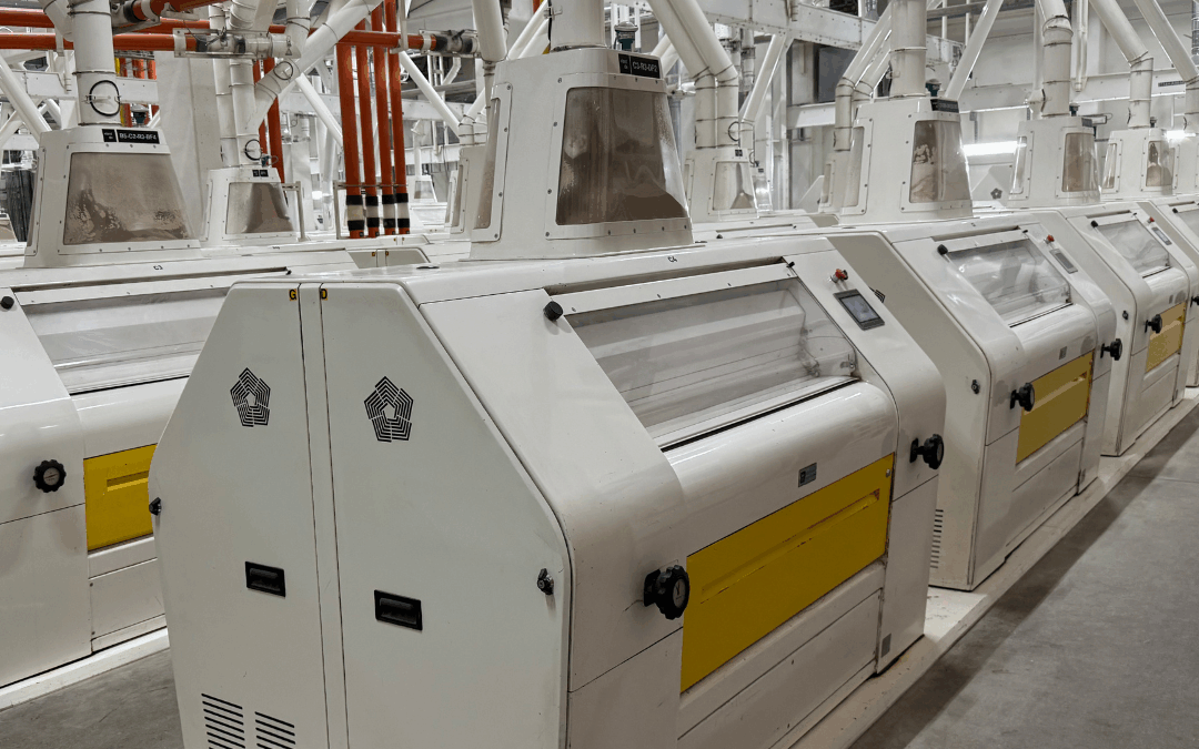 Reduction of ergot alkaloids in wheat