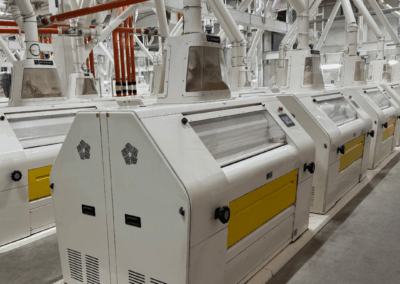 Réduction des alcaloïdes d’ergot dans le blé